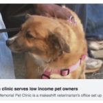 Evening Magazine Reports on Doney Coe Pet Clinic
