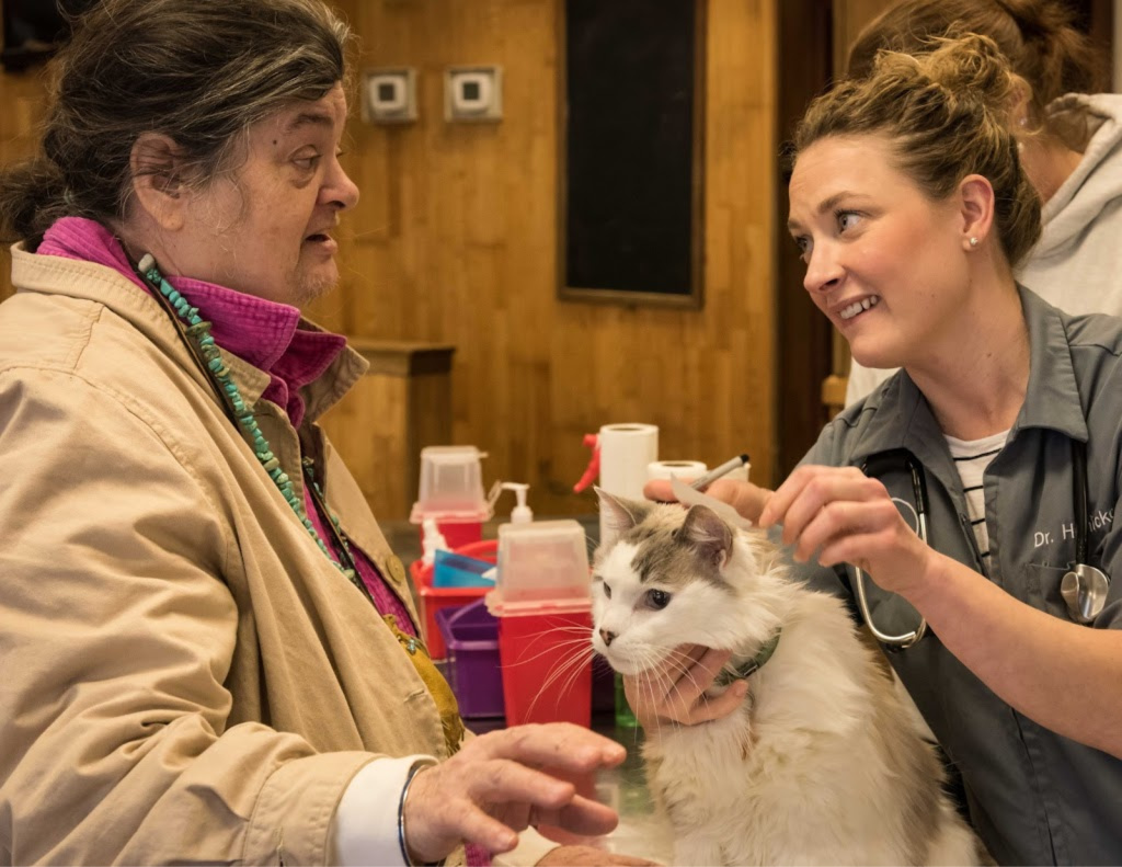 Doney Coe Pet Clinic volunteer treating cat