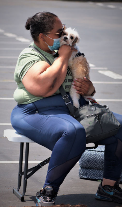 woman holding white dog