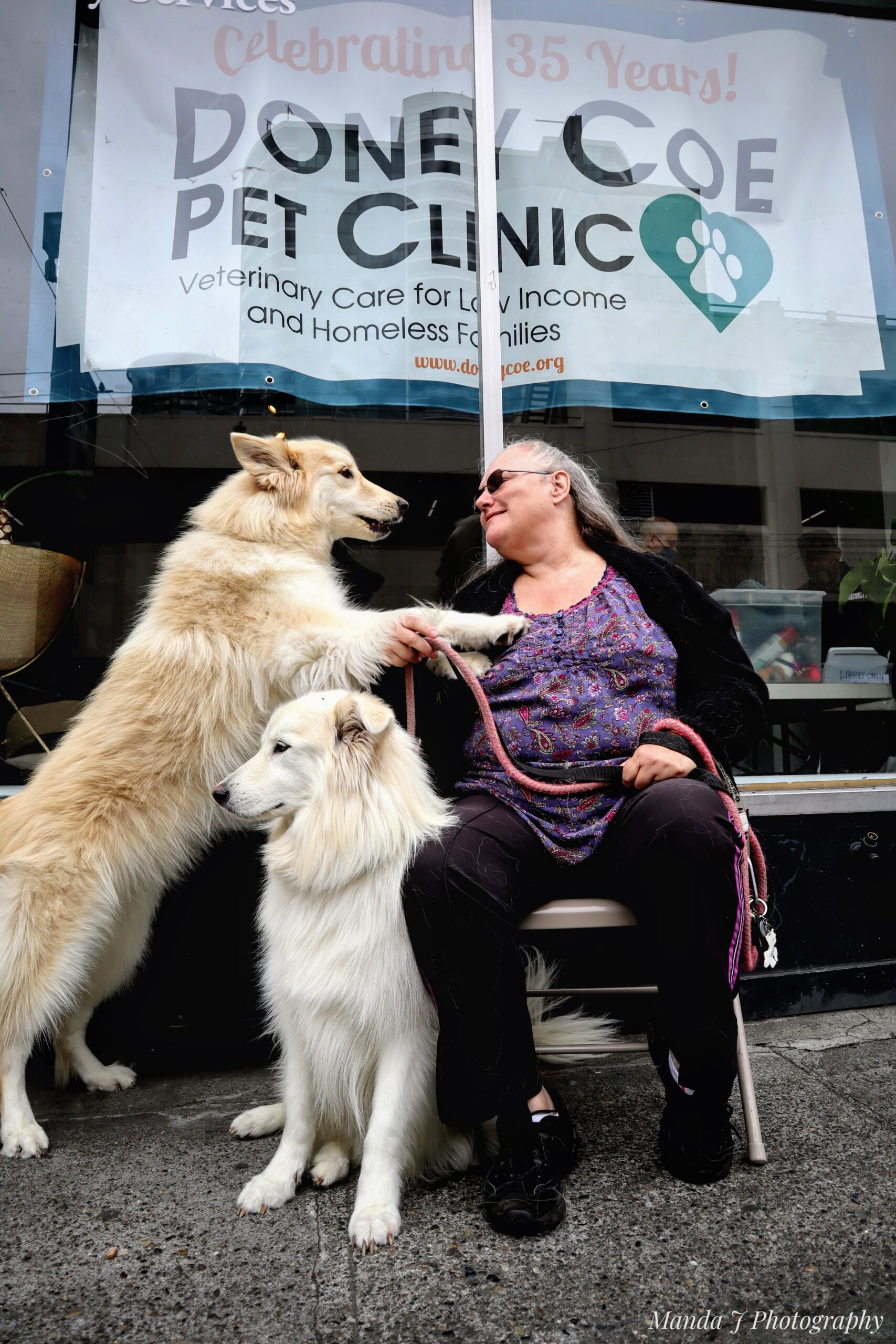 Pet clinic for store low income families