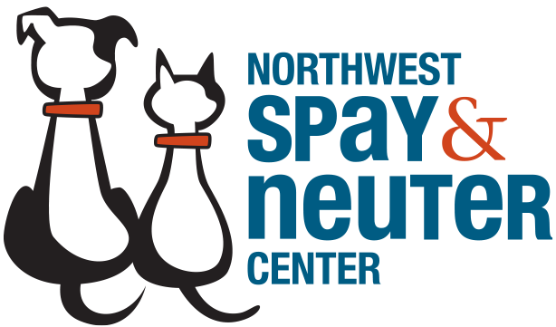 nwsn-logo